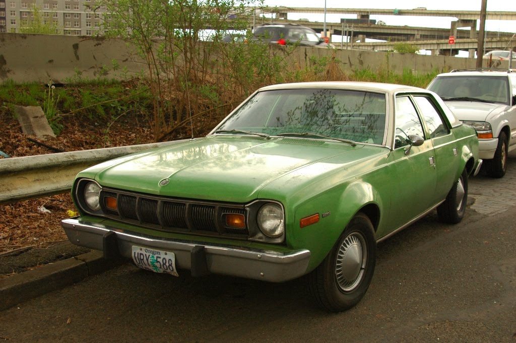 American Motors Хорнет