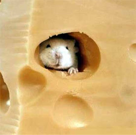 [Image: mouse_in_cheese.jpg]