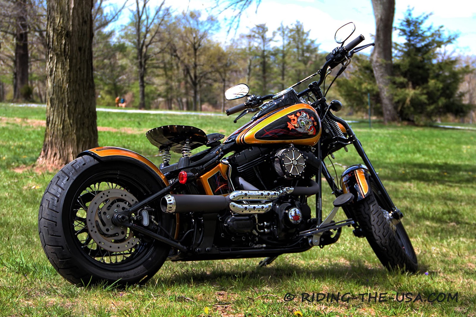 Norton Motorcycles Custom