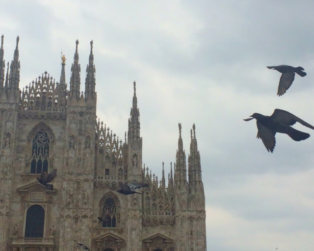 Duomo Cathedral Milan pigeons