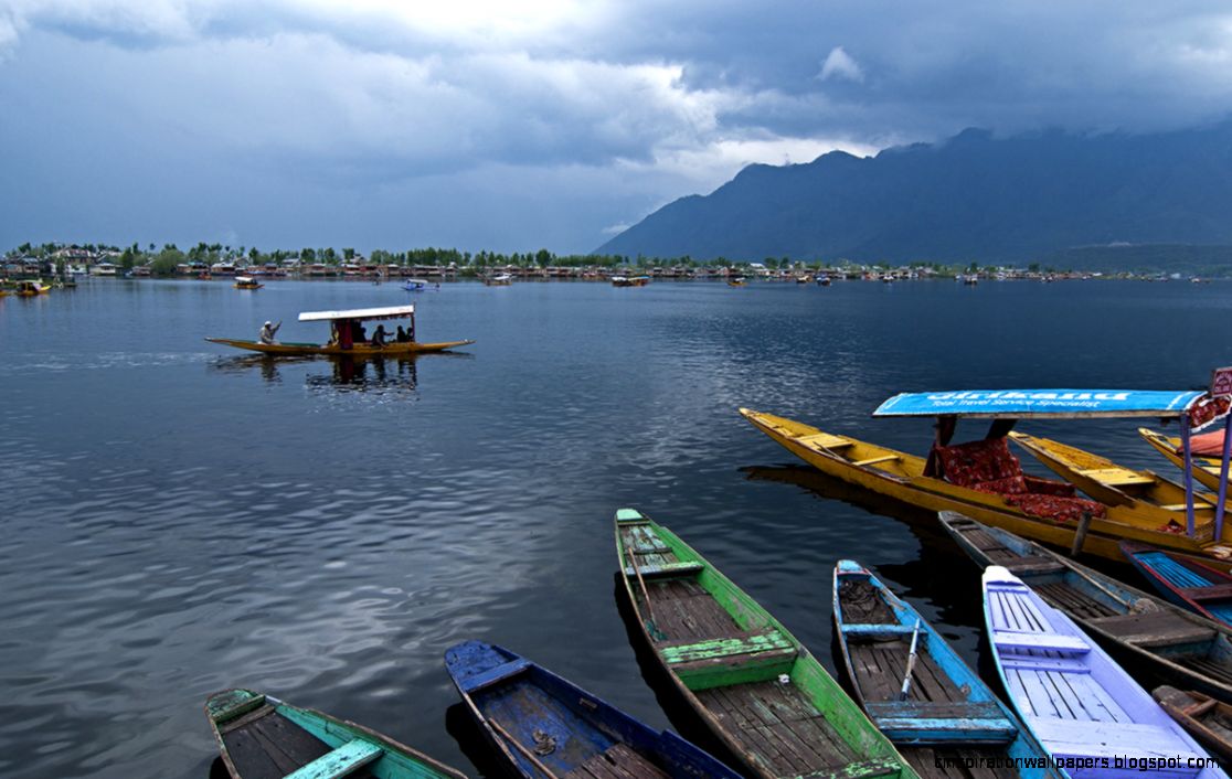 Shikara ride at Dal Lake  World Tourism Day
