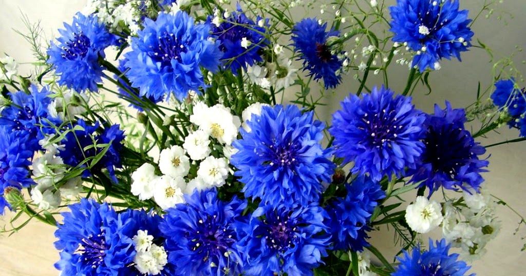 rothys cornflower blue