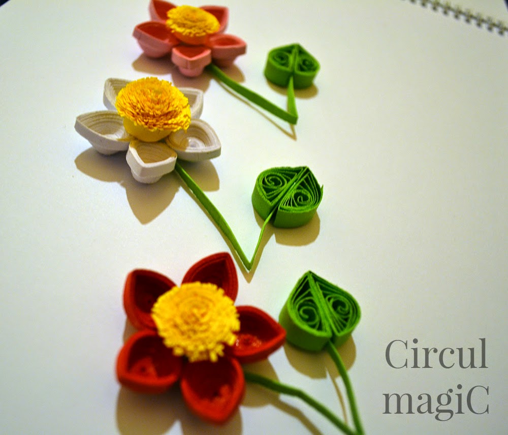 flori quilling hartie circul magic