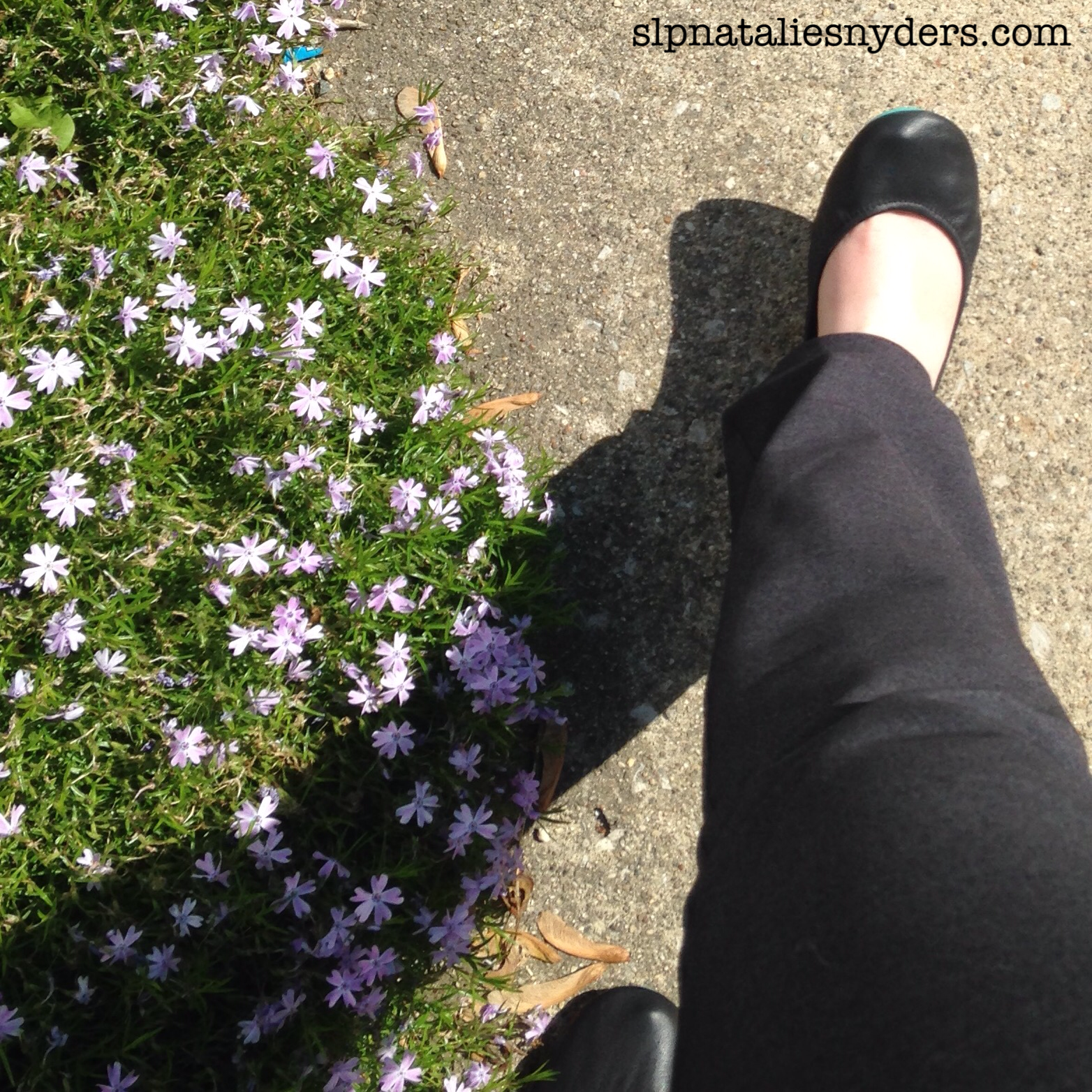 Betabrand Dress Yoga Pants Reviews