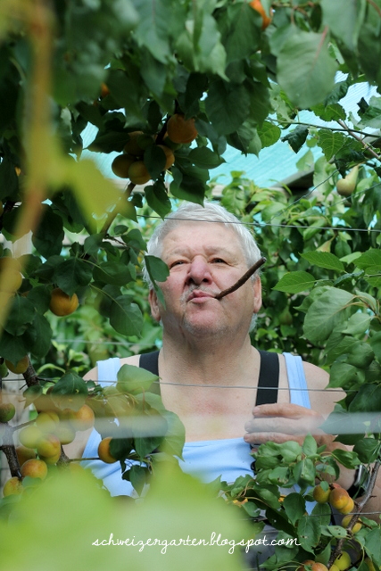 59+ Schweiz Garten Student, Ein von lola (@lolahu68) gepostetes foto
