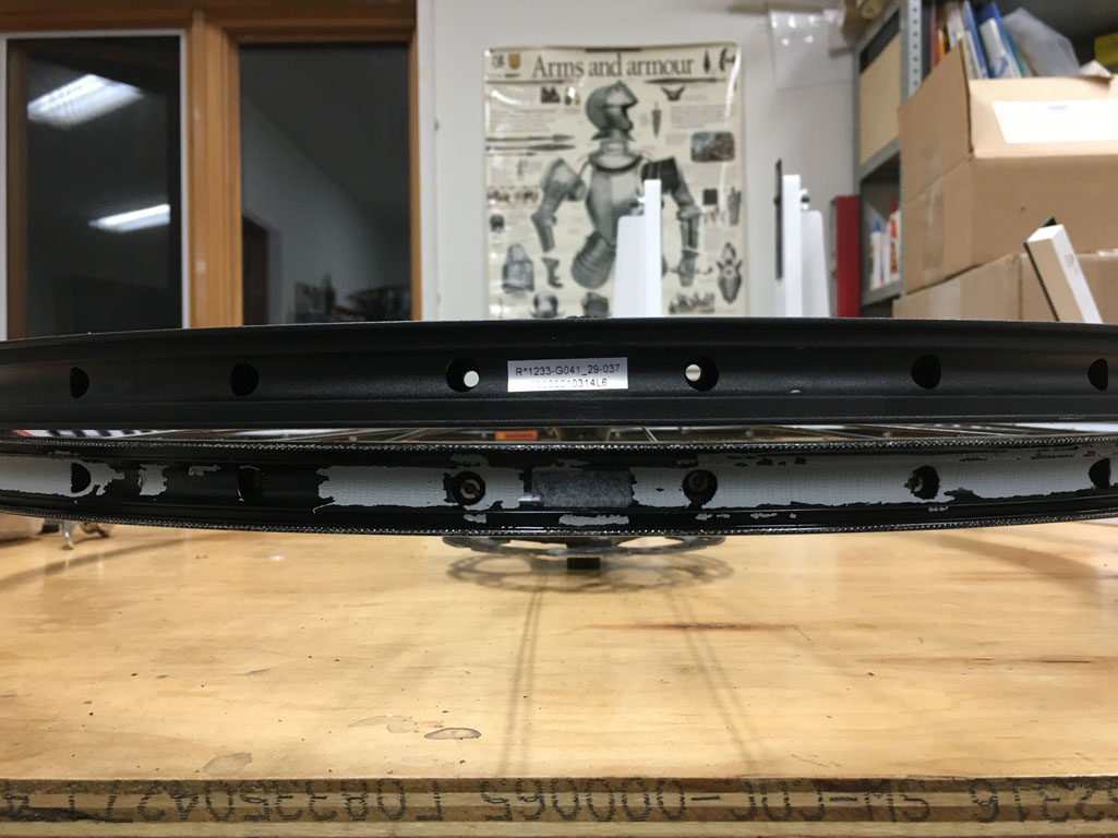 Dualsport Diary Mountain bike wheel upgrade DT Swiss XM401 rims