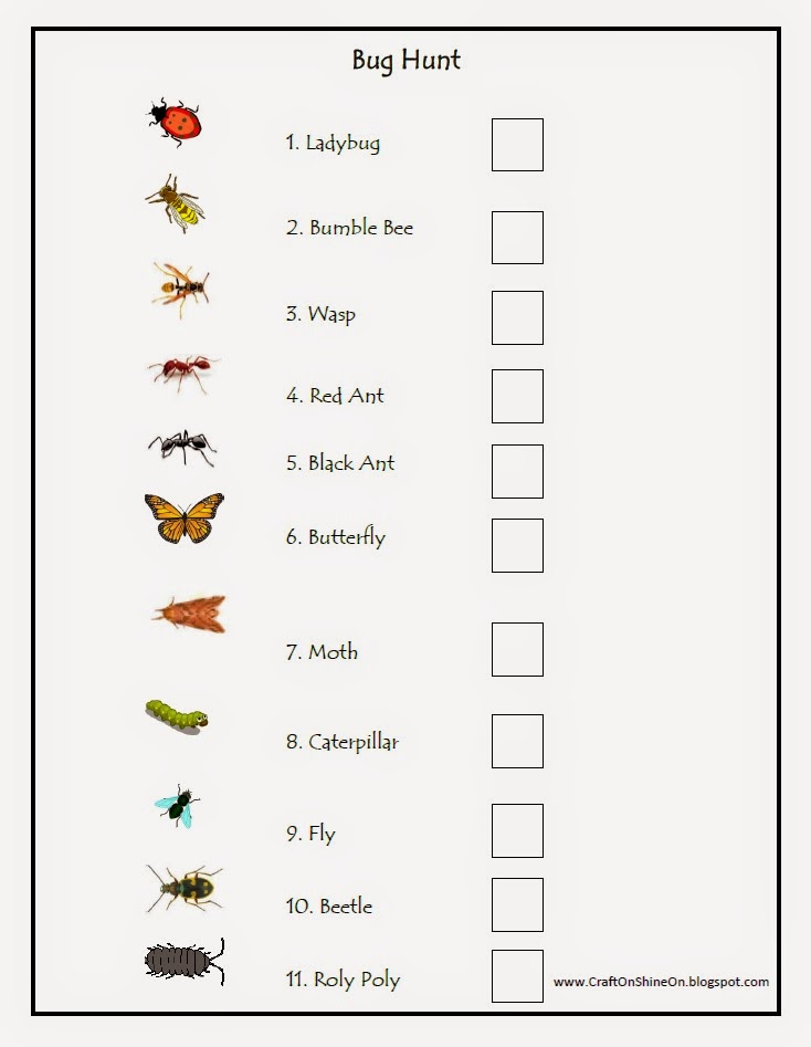 craft-on-shine-on-going-on-a-bug-hunt