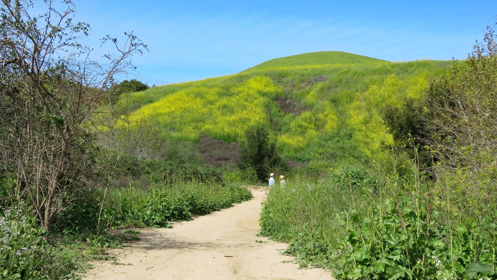 Are Dogs Allowed In Chino Hills State Park