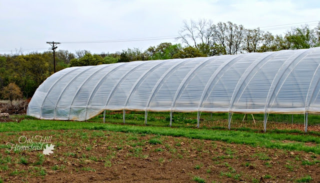A large hoop house in a field of grass with trees behind it.