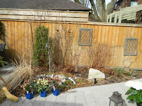 Leaside Toronto Spring Garden Clean up before by Paul Jung Gardening Services