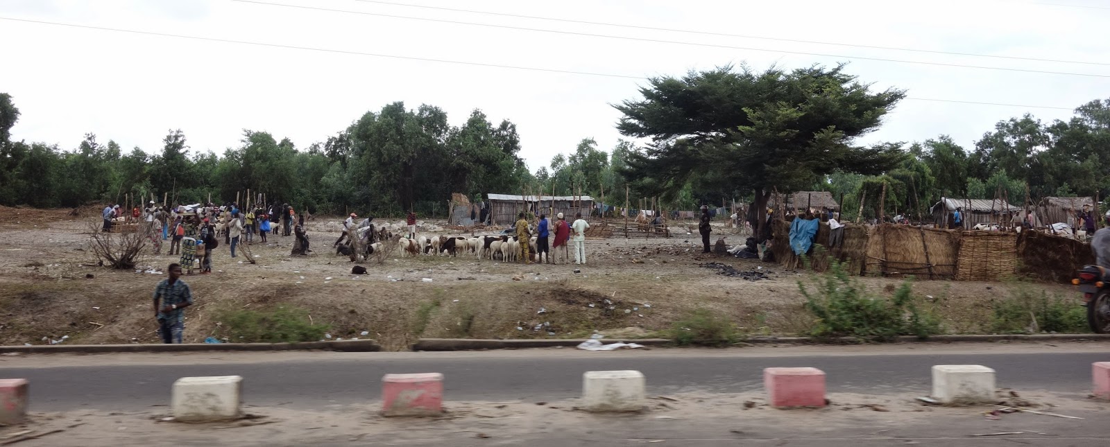 Bein' in Benin: Songhai Center, Porto Novo