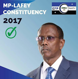 Former Lafey MP 2017-2022
