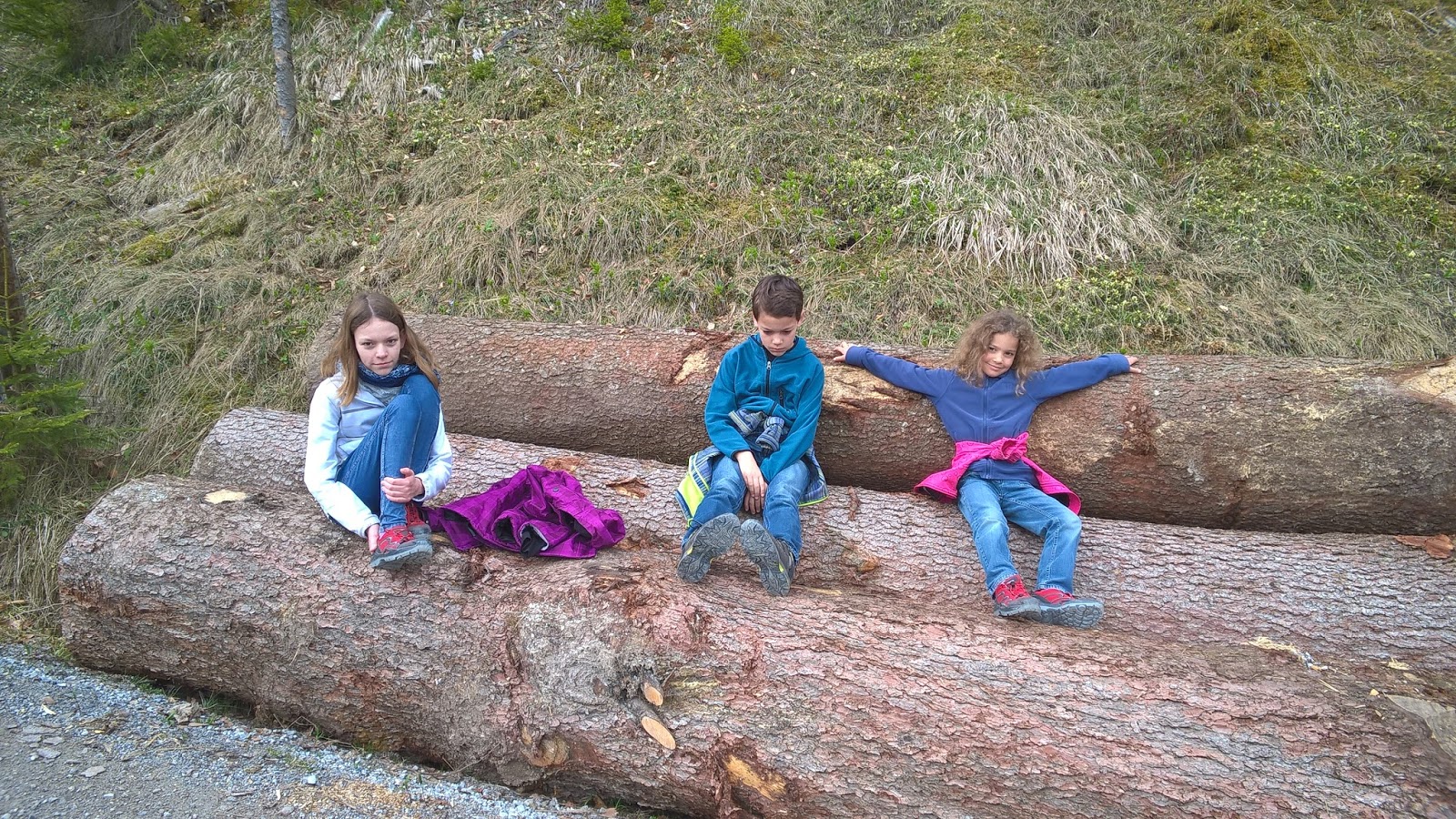 Daily Lazy Laure Prouvost At Mmk Frankfurt