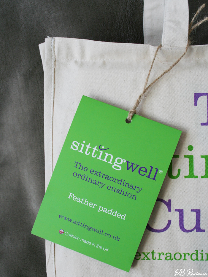 The Deluxe Sittingwell Back Support Cushion