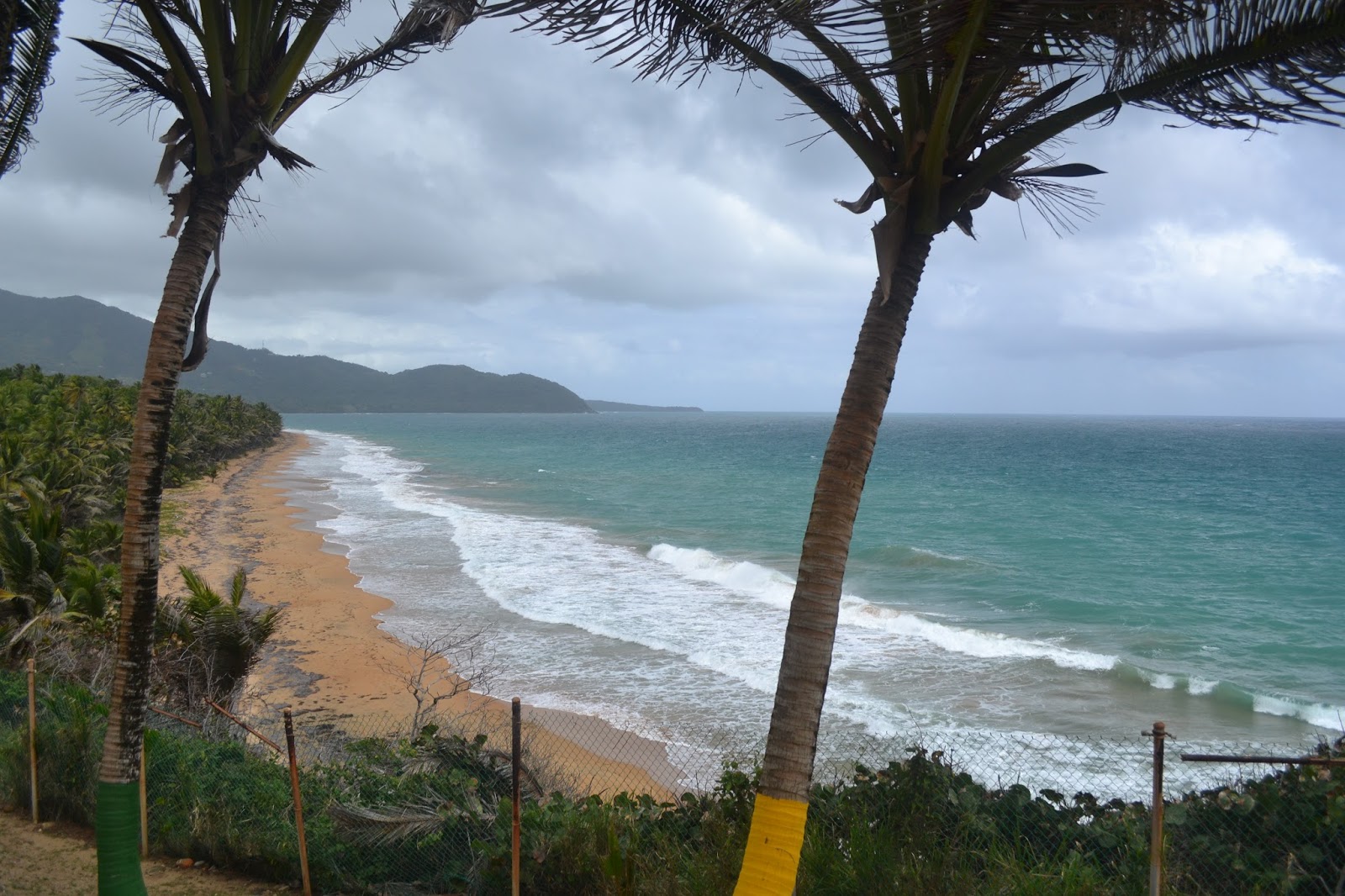 Travel Tuesday Maunabo, Puerto Rico BoricuaGenes