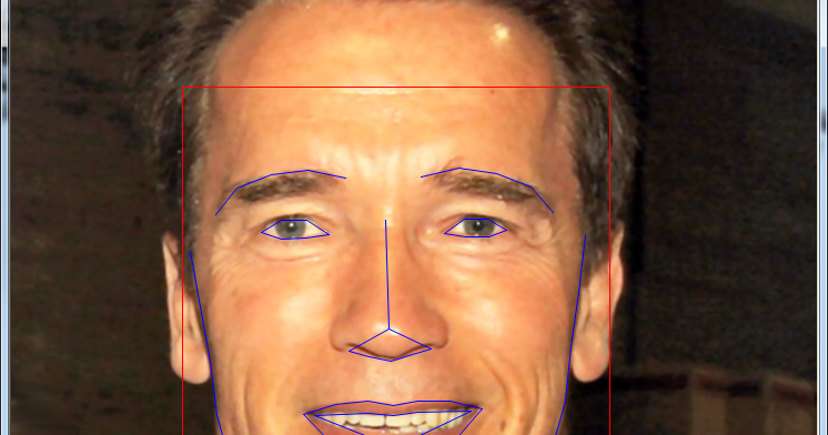 Getting Dlib Face Landmark Detection working with OpenCV