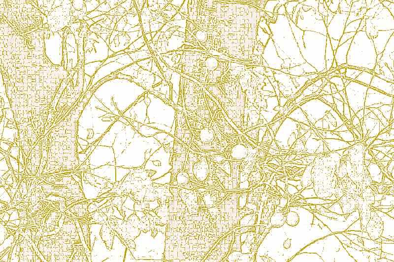 화순 계당산 쌍봉사 화순 계당산 쌍봉사