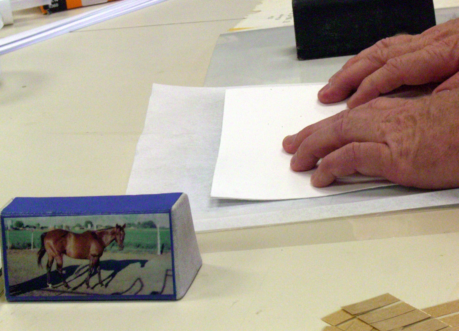 Saltzworks Book Mending MiniSeries Water Damaged Book Repair