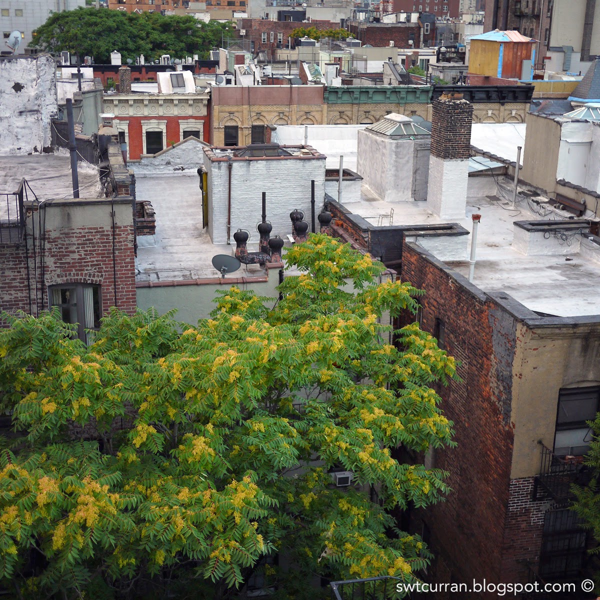 blogtacular blogtastic bloggy blog lower east side rooftops