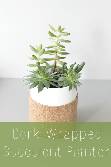 Simple DIY cork wrapped succulent planter