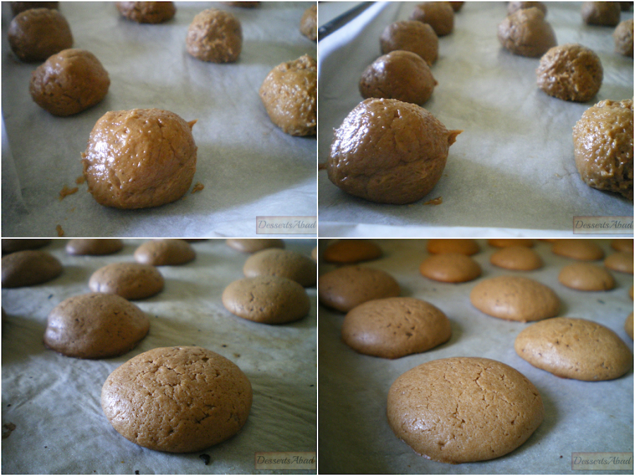 Galletas de chocolate y especias (Masa)