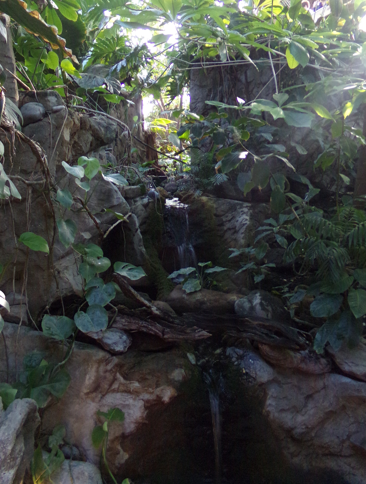 Randuwa II National Aquarium Upland Tropical Rain Forest