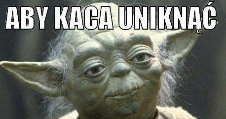 Yoda Radzi Memy Aby Kaca Uniknąć Pijanym Zostać Musisz śmieszne