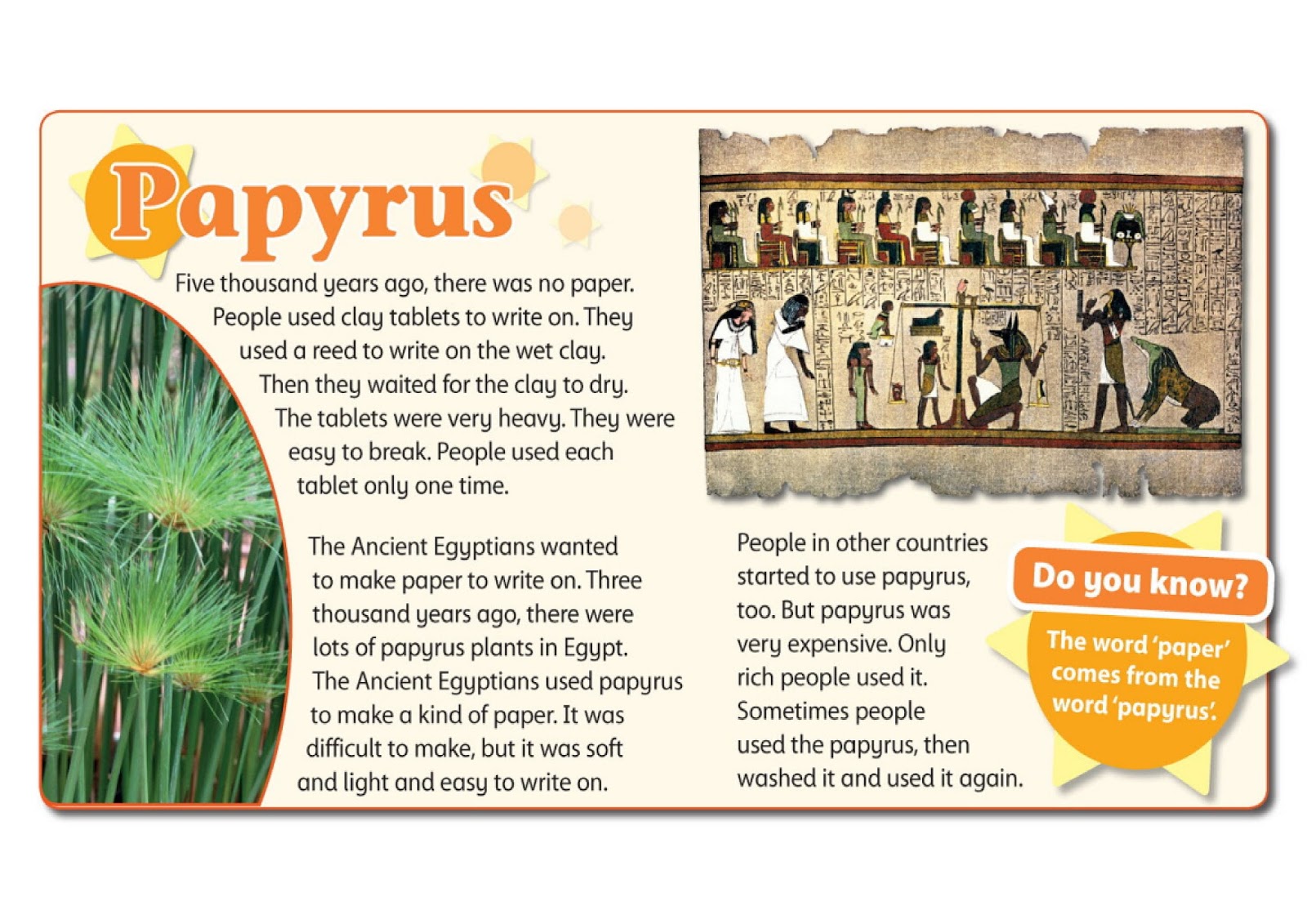 Математика в древнем египте. Пергамент носитель информации. Папирус для письма в древности. Папирус в виде растения в древнем египте. Загадки по истории.