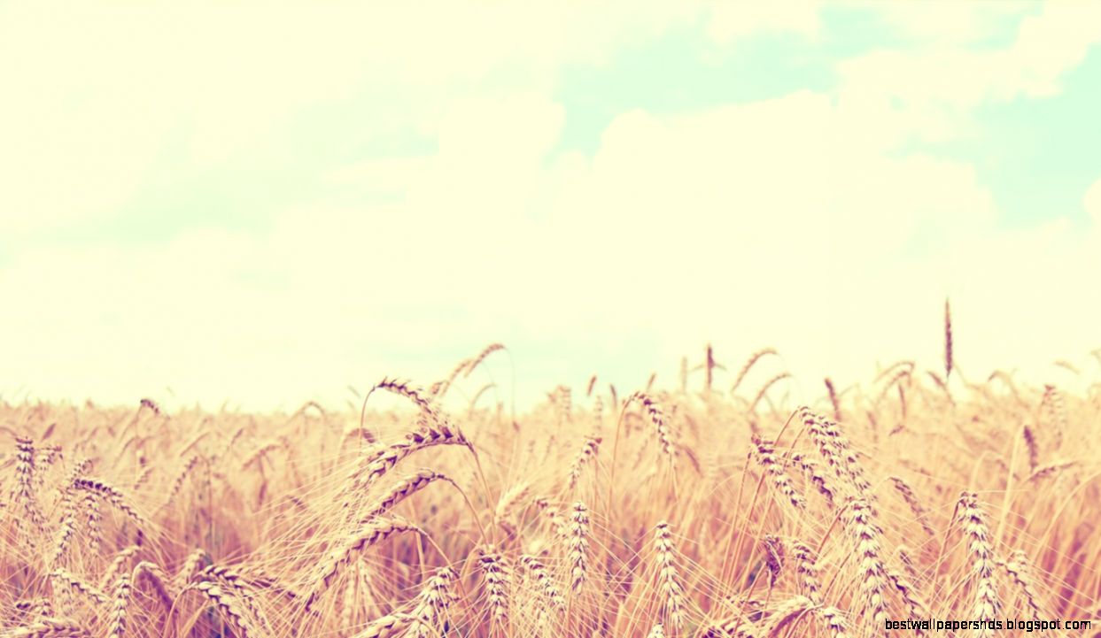 Nice HD Wallpapers Collection 42 of Elegant  Cool Photos