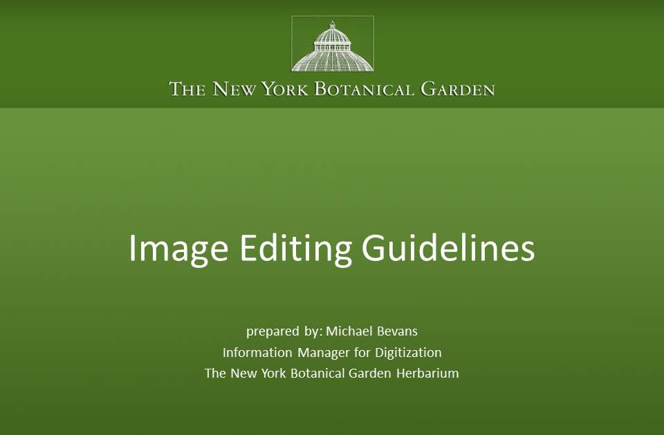 New York Botanical Garden Herbarium