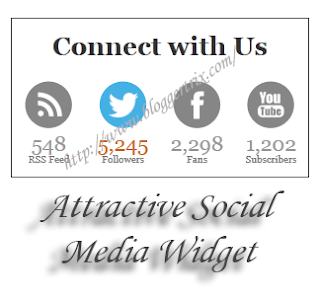 Attractive+Social+Media+Widget