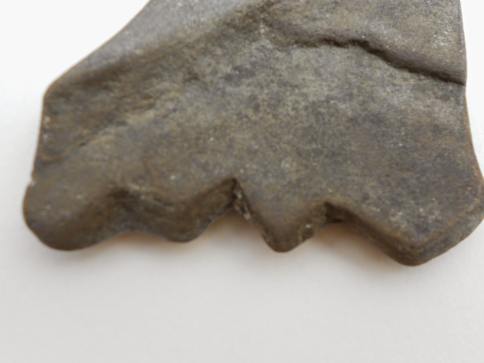 Archaeology of Portable Rock Art Dutch and North American mammoth