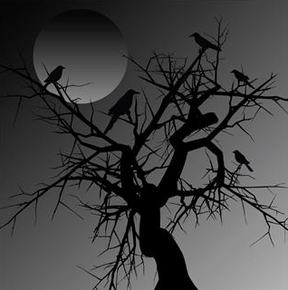 night birds