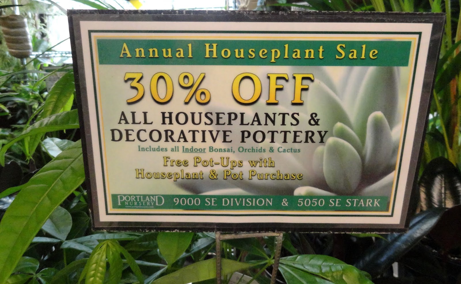danger garden Portland Nursery Houseplant Sale Wrapup (you've still