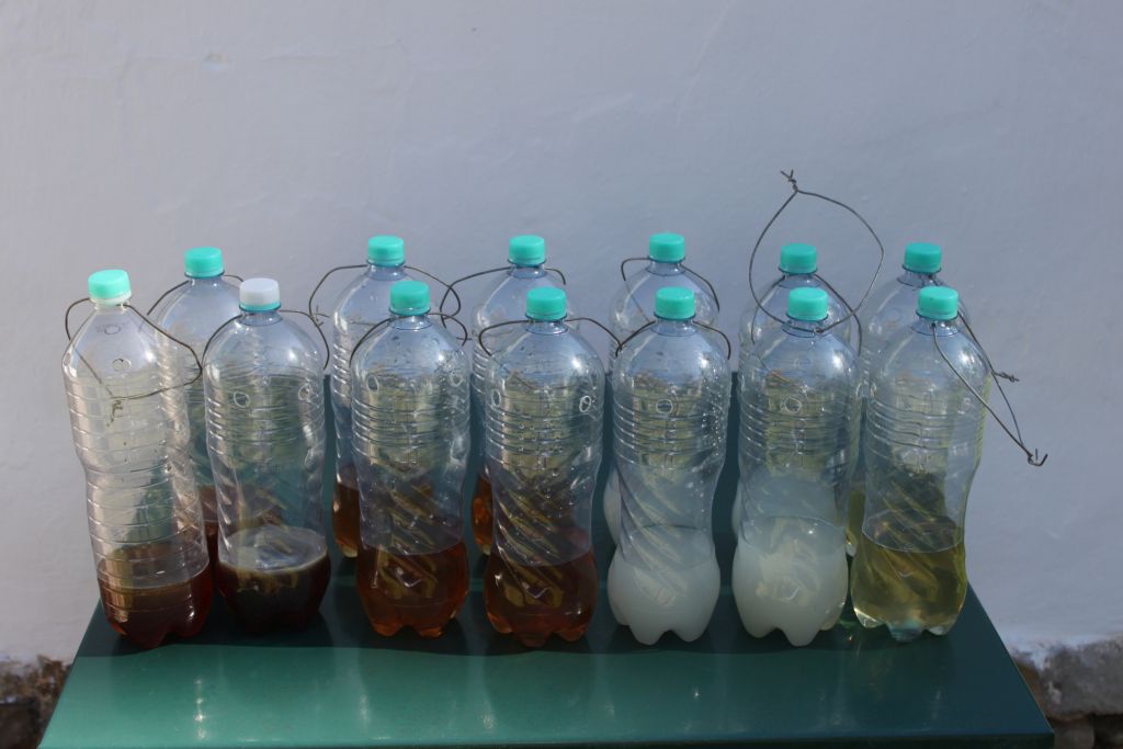 Towerwater Aan De Breede The Mediterranean fruit fly bait stations