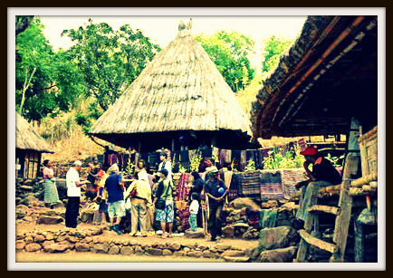 19+ Rumah Adat Alor Pantar Pics