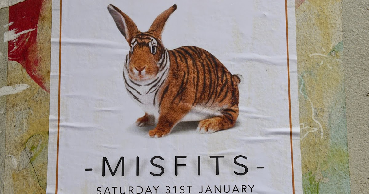 small-animal-talk-auckland-and-waiheke-island