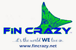 FiN Crazy