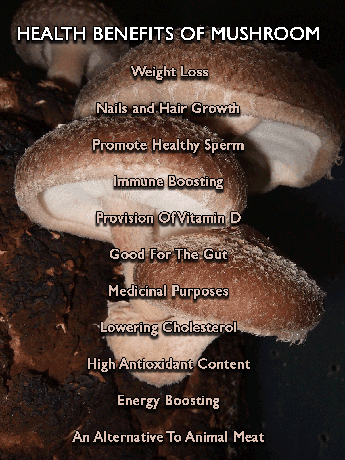 Shiitake Mushrooms The World's Healthiest Foods Shiitake Mushroom