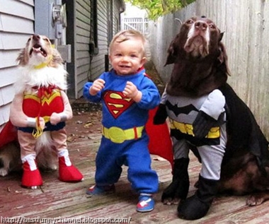 Funny dogs and baby.