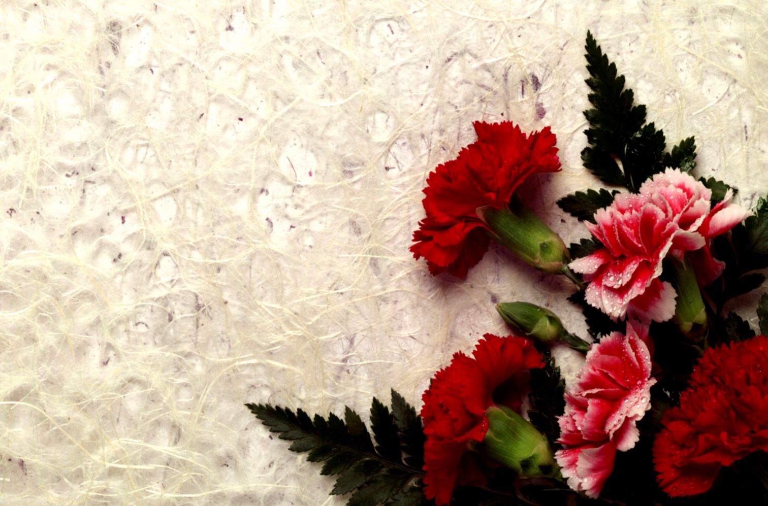 Flowers HD Background Photos  Free Desk Wallpapers