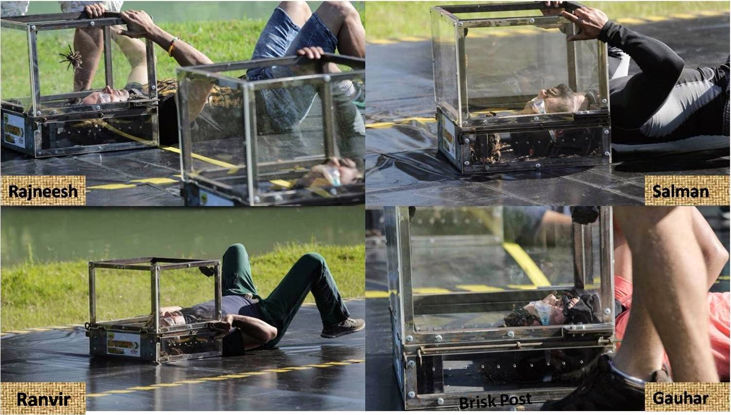 Spiders and scorpions in a Khatron Ke Khiladi stunt Faces of Khatron Ke Khiladi Rajneesh, Salman, Ranvir, Gauhar in a glass box with spiders and scorpions during a Fear Factor Darr Ka Blockbuster stunt