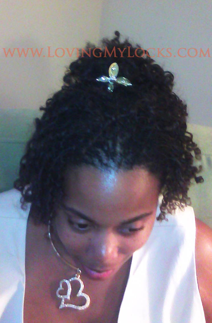 Wedding Hairstyles For Sisterlocks 85284 Updos Video Hair