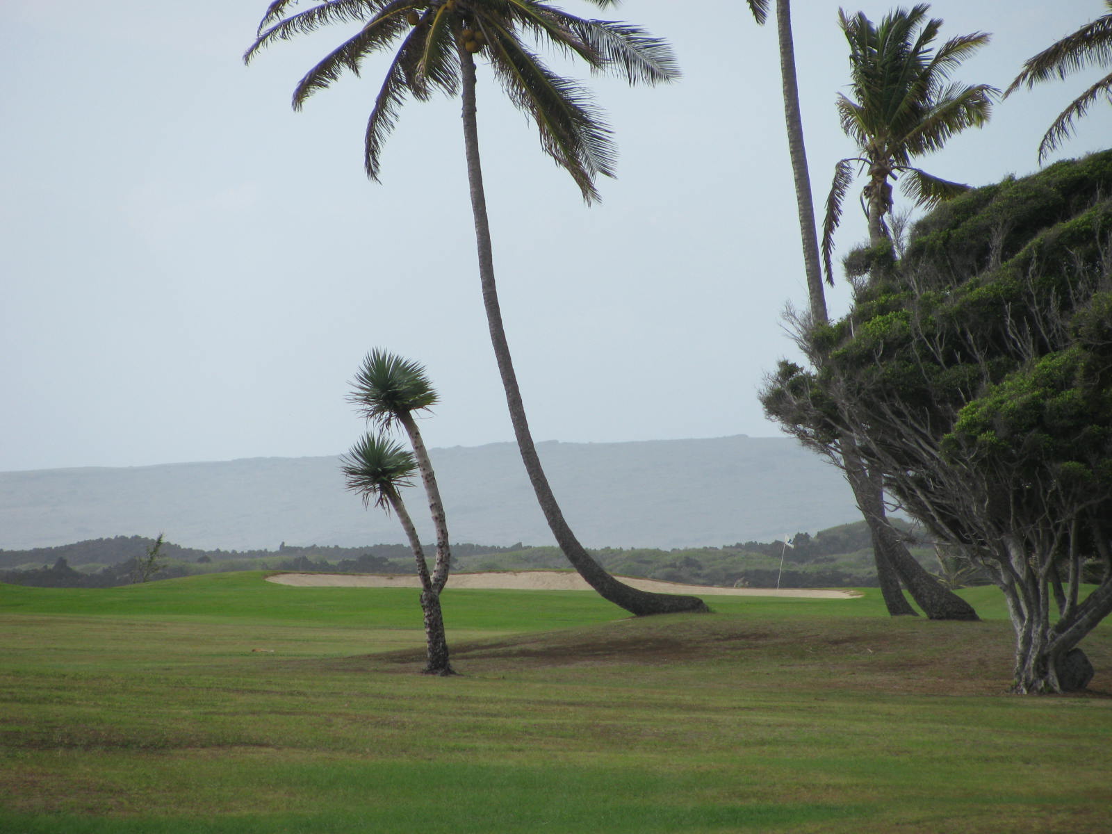 My Slice of Golf (John B) Sea Mountain Resort, Punaluu Big island Hawaii