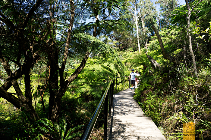 Blue Mountains Katoomba Falls Trail Australia