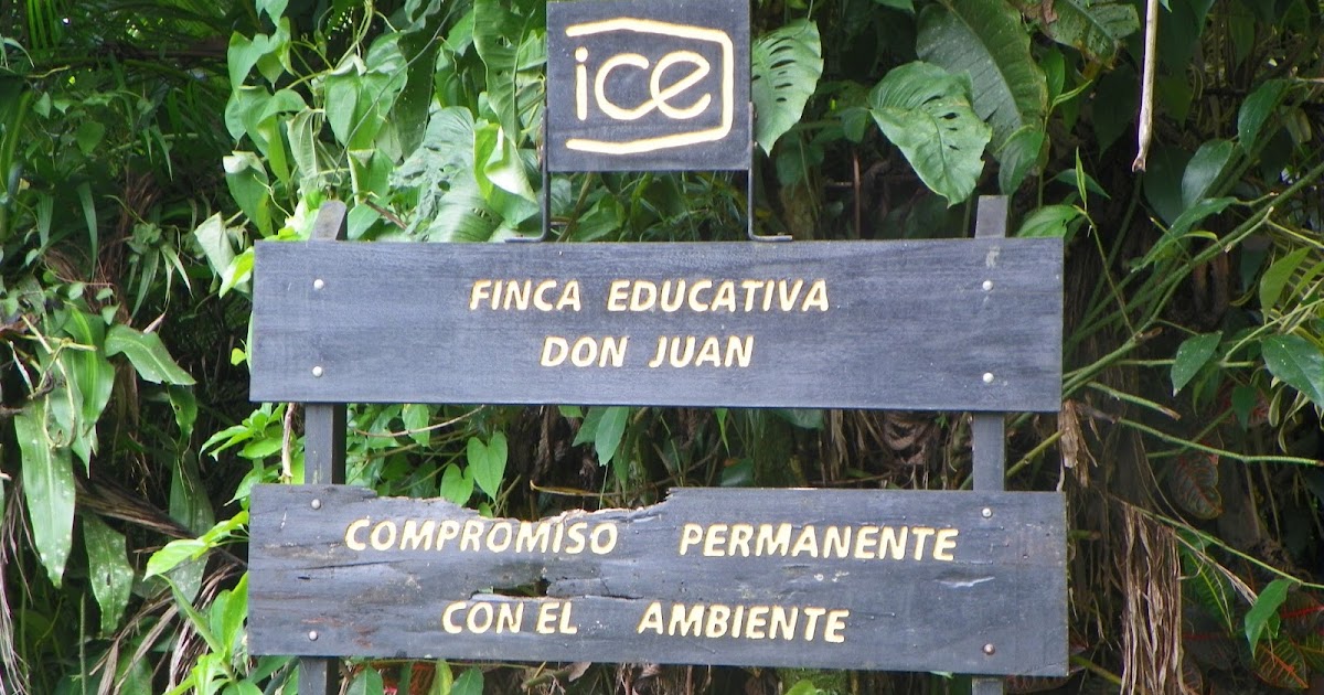 NOMADIC CHEF: Costa Rica Study Abroad Day 18- Don Juan Eco Farm