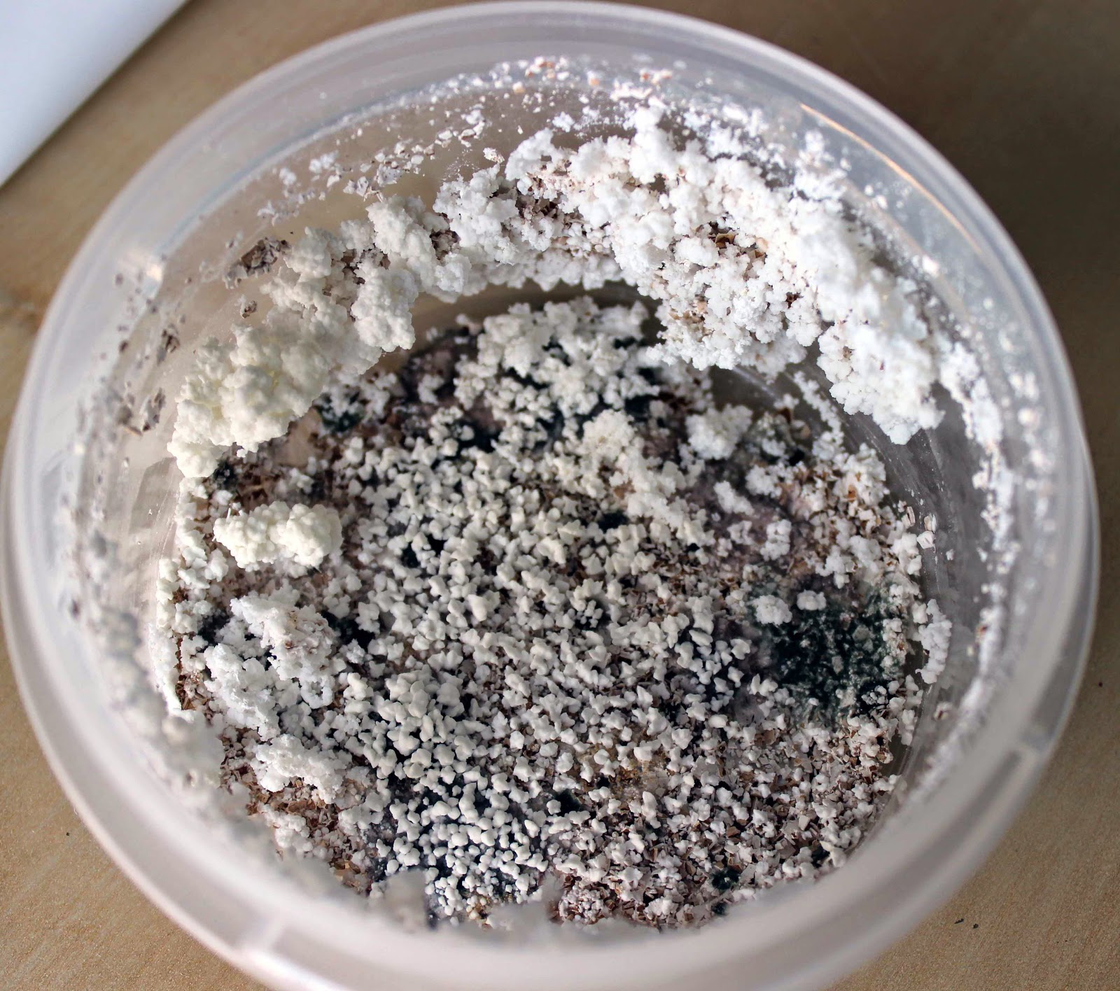 Creating and Educating Egg Shell Crystals