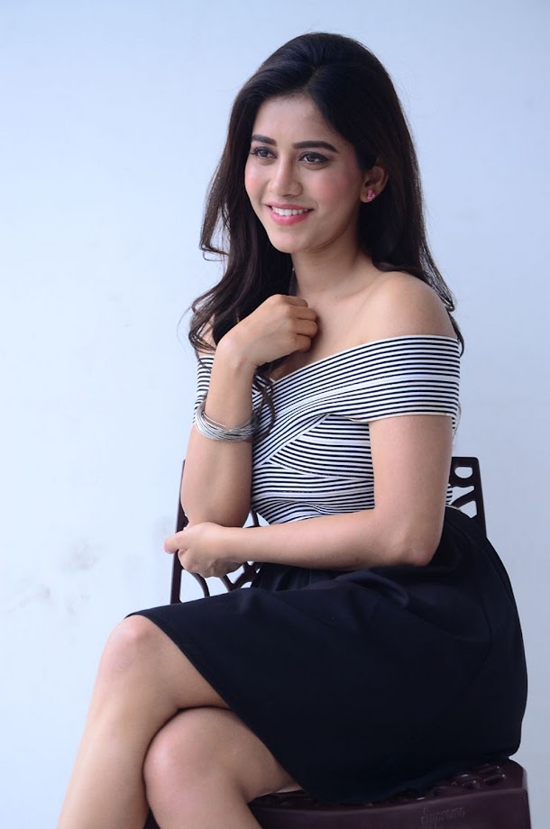 Nabha Natesh at Nannu Dochukunduvate Interview