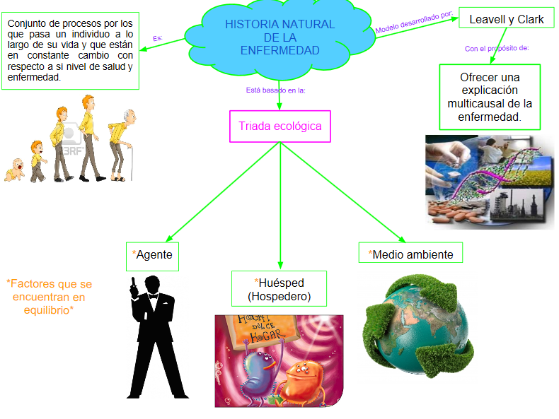 Proceso de Historia Natural de la enfermedad