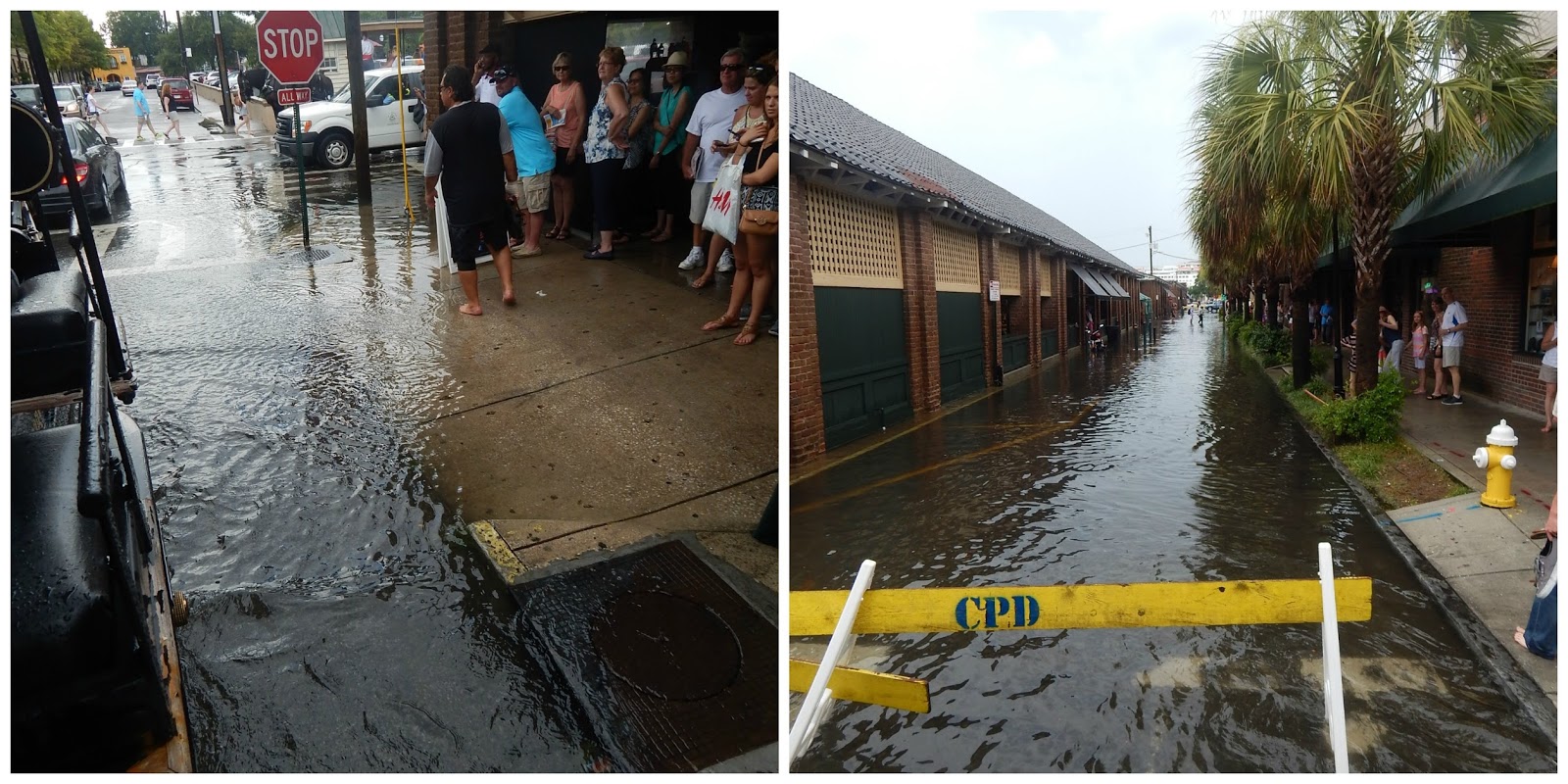 Carma Poodale My Visit To Charleston, South Carolina